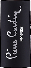 Матова помада для губ - Pierre Cardin Matte Chiffon Touch Lipstick — фото N4