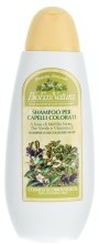 Духи, Парфюмерия, косметика Шампунь для окрашенных волос - Bema Cosmetici Bioeconatura Hair Line Shampoo for Coloured Hair