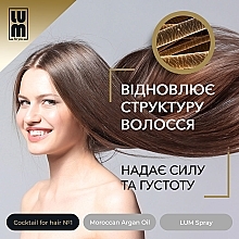 Набор "Полноценный курс восстановления до 3 месяцев" - LUM (oil/50ml + hair/coc/2x50ml + spray/120ml) — фото N6