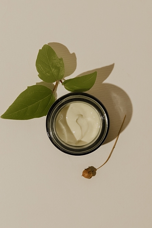Восстанавливающий крем для лица с маслом таману - Ed Cosmetics Tamanu Oil Face Cream — фото N3