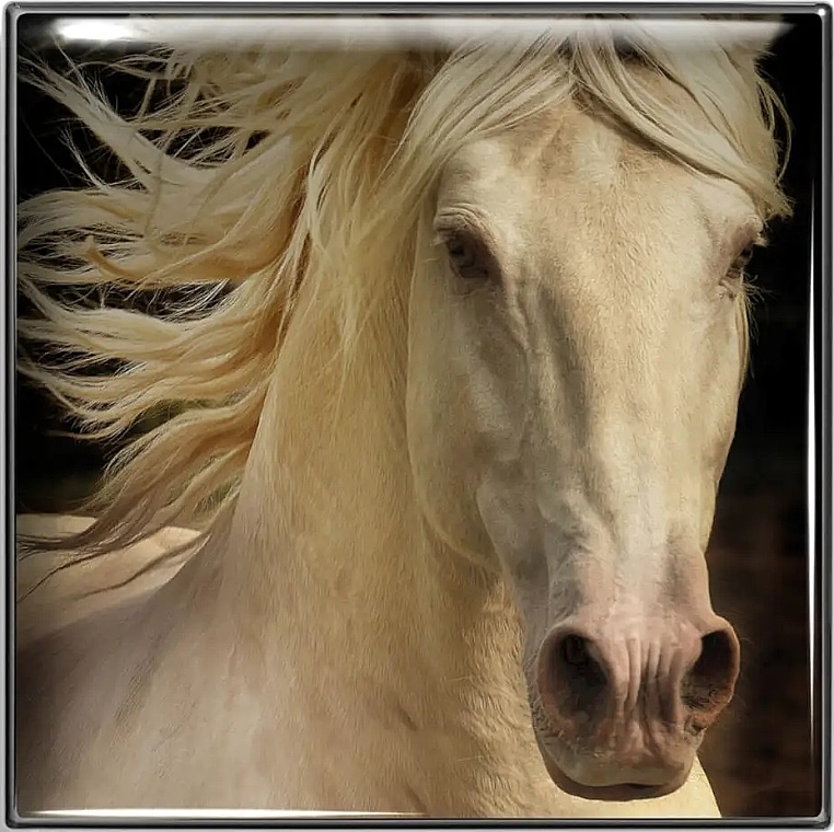 Тени для век - Chantecaille Matte Eye Shade Wild Mustang Collection — фото N2