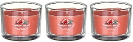 Набір ароматичних свічок "Тропічний бриз" - Yankee Candle Tropical Breeze (candle/3x37g) — фото N2