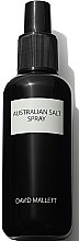 Парфумерія, косметика Спрей для волосся - David Mallett Hair Care Australian Salt Spray