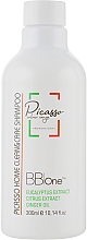 Очищающий шампунь для волос - BB One Picasso Home Clean & Care Shampoo — фото N1