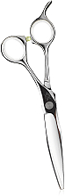 Парфумерія, косметика УЦІНКА Ножиці для стрижки волосся - Cisoria OX625 *