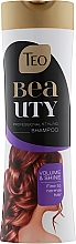 Духи, Парфюмерия, косметика Шампунь для нормальных и тонких волос - Teo Beauty Volume & Shine Shampoo