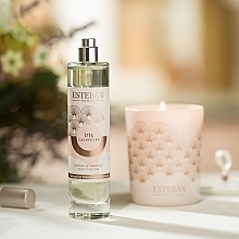 Esteban Iris Cachemire Home Fragrance Spray - Парфюмированный спрей для дома — фото N2