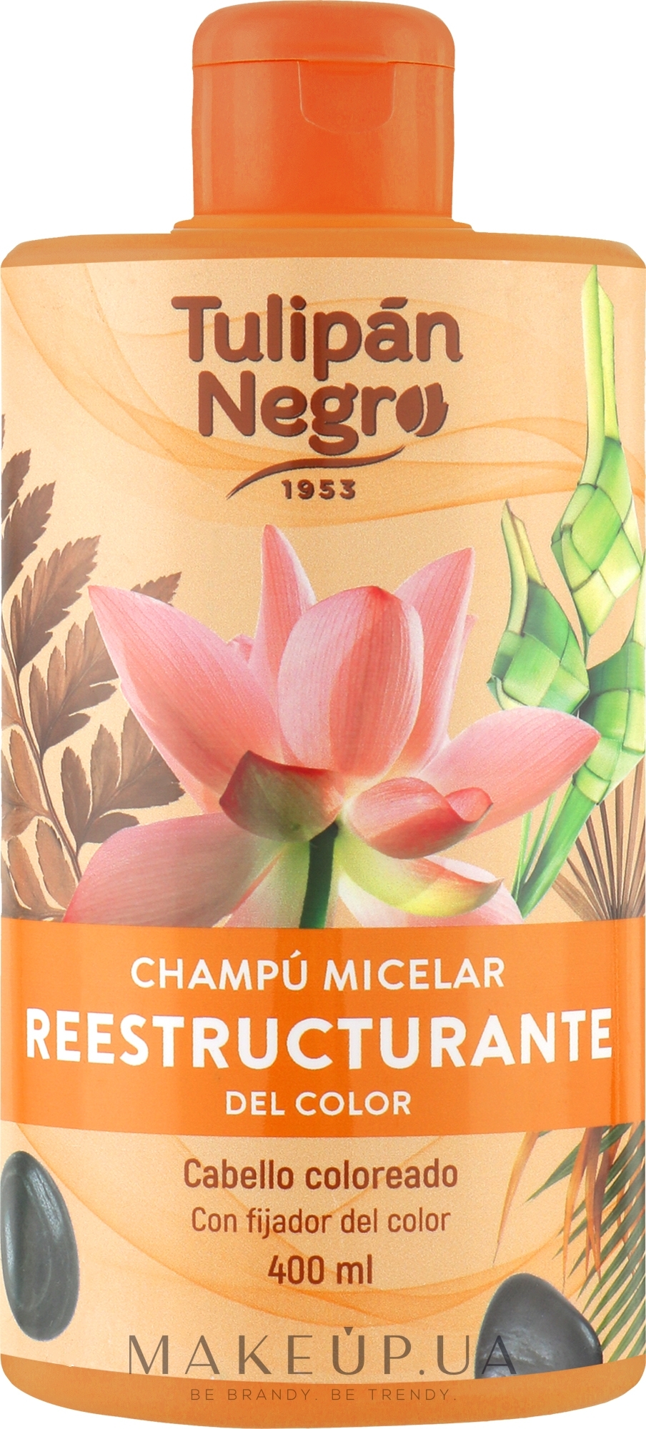 Шампунь міцелярний, реструктурувальний, для волосся - Tulipan Negro Sampoo Micelar — фото 400ml