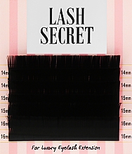 Накладні вії, чорні, мікс, 6 ліній (0.07, C, (14,15,16)) - Lash Secret — фото N1