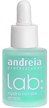 Парфумерія, косметика Краплі для зволоження кутикули - Andreia Professional Lab: Hydro Cuticle Drops