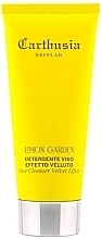 Очищающее средство для лица с бархатным эффектом - Carthusia Skinlab Lemon Garden Face Cleanser Velvet Effect — фото N1