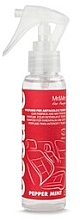 Mr&Mrs Fragrance Cesare Spray Peper Mint - Ароматичний спрей для автомобіля — фото N1
