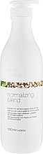Шампунь для нормальных и жирных волос - Milk Shake Normalizing Blend Shampoo — фото N3