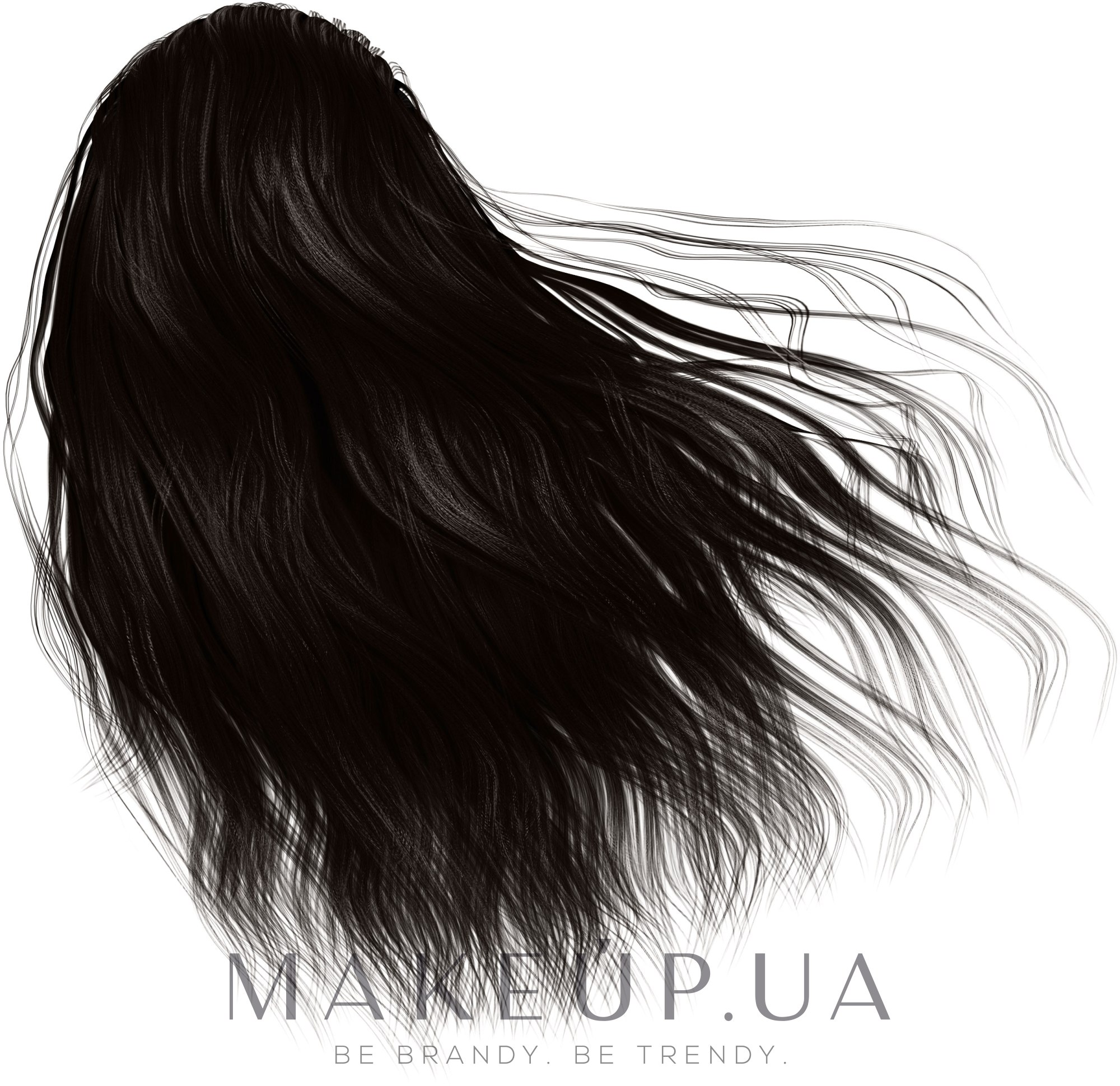 Крем-фарба для волосся - Spa Master Basic Line Hair Color — фото 1/11AA - Blue-Black