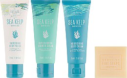 Набор - Scottish Fine Soaps Sea Kelp Marine SPA Kit (sh/gel/75ml + b/but/75ml + h/chr/75ml + soap/40g) — фото N2