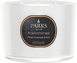 Ароматическая свеча - Parks London Aromatherapy Orange, Cedarwood & Clove Candle — фото N3