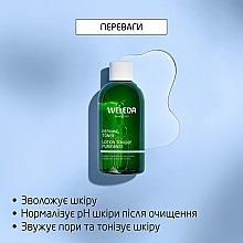Увлажняющий тоник для нормализации pH и сужения пор с органическим гамамелисом для нормальной, комбинированной и жирной кожи - Weleda Refining Toner — фото N4