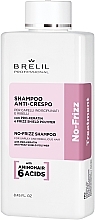 Шампунь разглаживающий для непослушных волос - Brelil No-Frizz Treatment No-Frizz Shampoo — фото N1