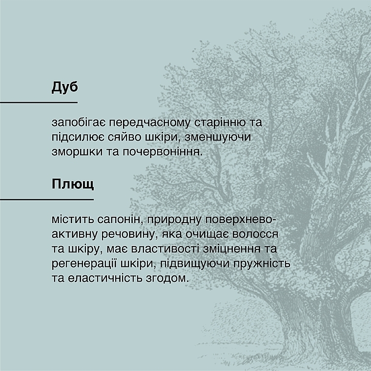 Універсальне тверде мило для тіла та волосся з екстрактом кори дуба та плюща - Les Bois Le Pain Du Voyageur Oak & Ivy Hair & Body Cleansing Bar — фото N5