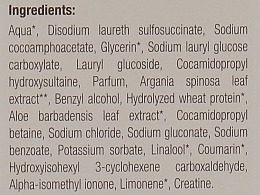 Шампунь для всіх типів волосся - Arganiae L'oro Liquido Argan Shampoo (туба) — фото N3