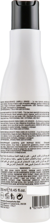 Шампунь балансирующий для жирных волос - Pura Kosmetica Pure Balance Shampoo — фото N2