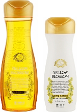 Духи, Парфюмерия, косметика Набор - Daeng Gi Meo Ri Yellow Blossom Set (shm/400ml + cond/300ml)