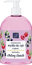 Ароматное жидкое мыло для рук "Малина-черника" - Cztery Pory Roku — фото N1