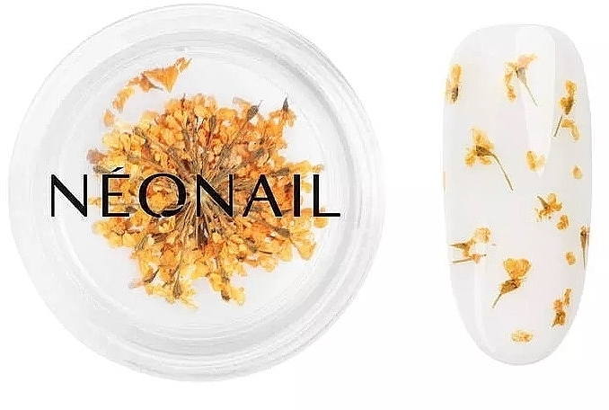 Сухоцветы для дизайна ногтей - NeoNail Professional — фото N2