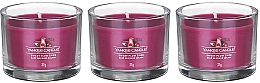 Набор ароматических свечей "Сладкое сливовое саке" - Yankee Candle Sweet Plum Sake (candle/3x37g) — фото N2