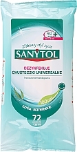 Дезинфецирующие салфетки для уборки с ароматом эвкалипта, 36 шт - Sanytol — фото N1