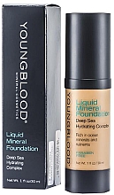 Духи, Парфюмерия, косметика Жидкая минеральная тональная основа - Youngblood Liquid Mineral Foundation