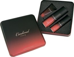 Духи, Парфюмерия, косметика Набор - Sts Cosmetics Cardinal Sensetive (f/foam/200ml + deo/150ml + ash/gel/100ml)