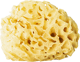 Парфумерія, косметика Натуральна губка, жовта, 12,5 см - Hhuumm 03H Natural Sponge