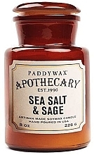 Духи, Парфюмерия, косметика Ароматическая свеча в банке - Paddywax Apothecary Artisan Made Soywax Candle Sea Salt & Sage