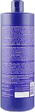 Кислотний шампунь после окрашивания и осветления волос - Master LUX Professional Acid Shampoo Post Color — фото N2