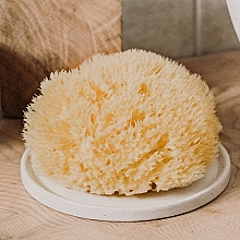 Натуральна морська губка "Honeycomb Sea Sponge", 6.35 см - Hydrea London — фото N2