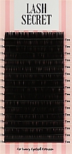 Парфумерія, косметика Накладні вії, чорні, 16 ліній (один розмір, 0,05, D, 11) - Lash Secret