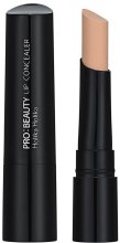 Парфумерія, косметика Консилер для губ - Holika Holika Pro Beauty Kissable Lip Concealer 