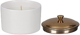Ароматическая свеча "Табак и ваниль" - Paddywax Hygge Ceramic Candle White Tobacco & Vanilla — фото N2