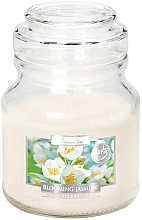 Парфумерія, косметика Ароматична преміумсвічка в банці "Квітучий жасмин" - Bispol Premium Line Scented Candle Blooming Jasmine