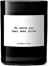 Ароматическая свеча - Candly & Co No.5 Where You Feel Most Alive Scented Candle — фото N2