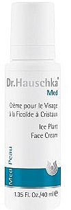 Зволожувальний крем для обличчя - Dr. Hauschka Ice Plant Face Care Cream — фото N1
