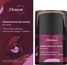 Сироватка для обличчя з муцином равлика - _Element Snail Slime Filtrate Face Serum — фото N2