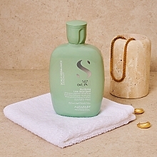 Шампунь для волосся проти лупи - Alfaparf Semi Di Lino Scalp Rebalance Purifying Low Shampoo — фото N5