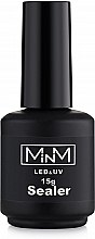 Гель финишный без дисперсионного слоя, 15 мл - M-in-M Sealer No Wipe Top Coat  — фото N1