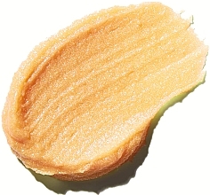 Живильний бальзам для губ - Evolve Organic Beauty Lip Shine True Gold — фото N2