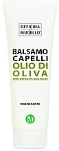 Парфумерія, косметика Кондиціонер для волосся з оливковою олією - Officina Del Mugello Balsamo Capelli Olio di Oliva