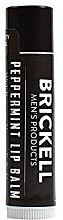 Бальзам для губ без блиску - Brickell Men's Products No Shine Lip Balm — фото N1
