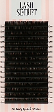 Накладные ресницы, черные, 16 линий (один размер, 0,1, L, 12) - Lash Secret — фото N1