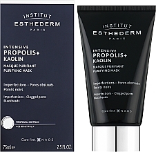 Очищающая маска "Прополис" - Institut Esthederm Intensive Propolis+ — фото N2